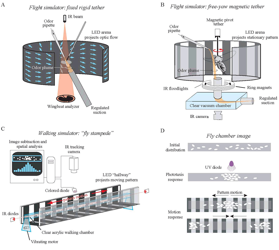 Figure 1: Behavioral assays...